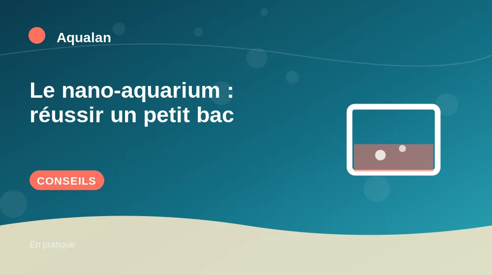 Le nano-aquarium : réussir un petit bac : conseils pratiques en illustration