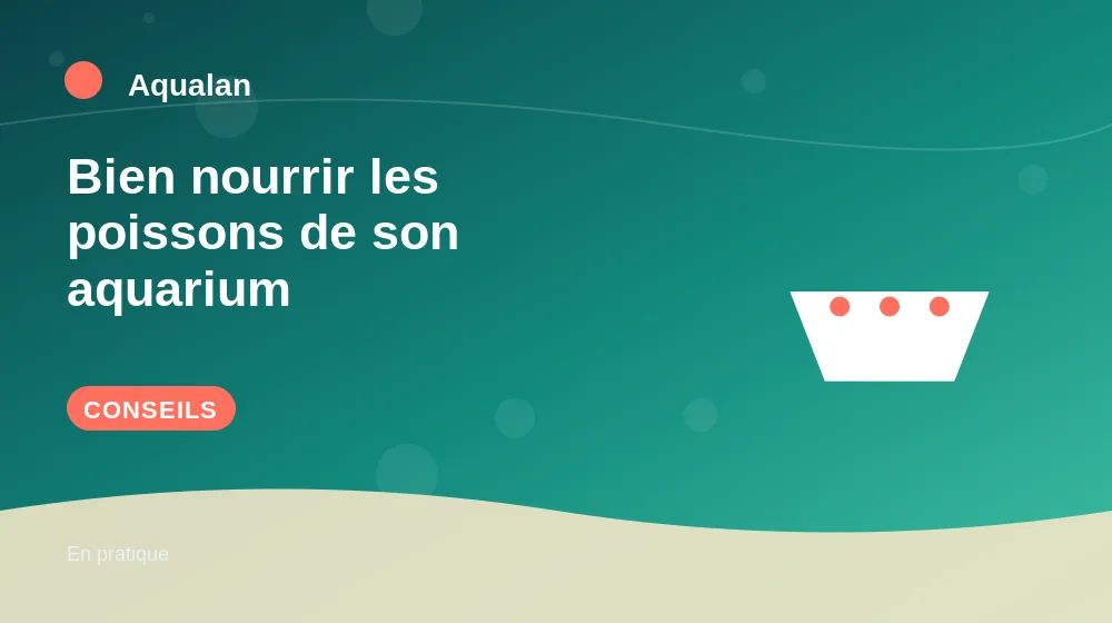 Bien nourrir les poissons de son aquarium : conseils pratiques en illustration