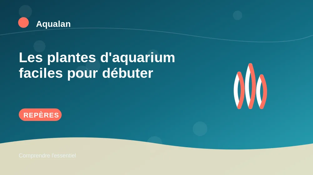 Les plantes d'aquarium faciles pour débuter : repères essentiels en illustration