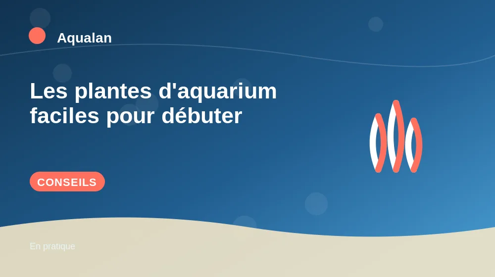 Les plantes d'aquarium faciles pour débuter : conseils pratiques en illustration