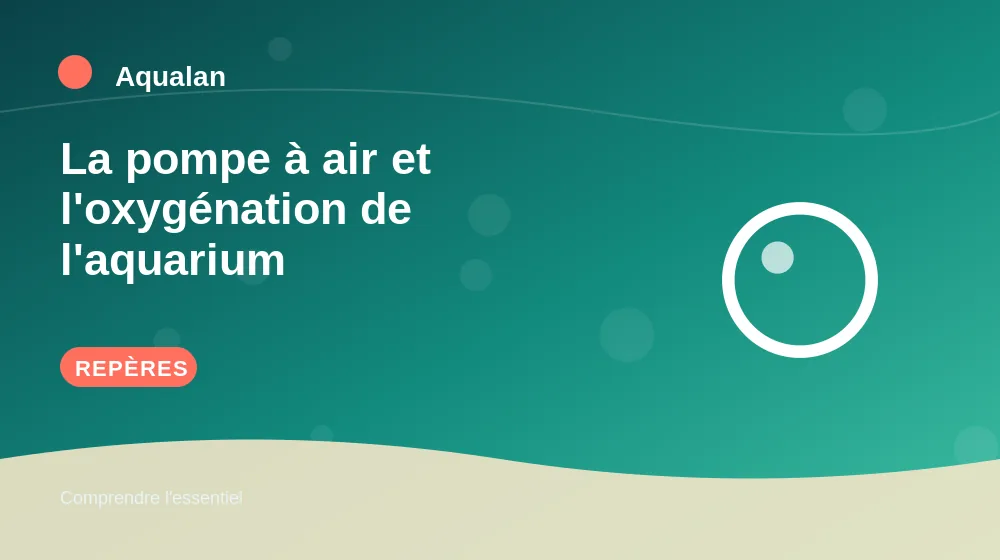 La pompe à air et l'oxygénation de l'aquarium : repères essentiels en illustration