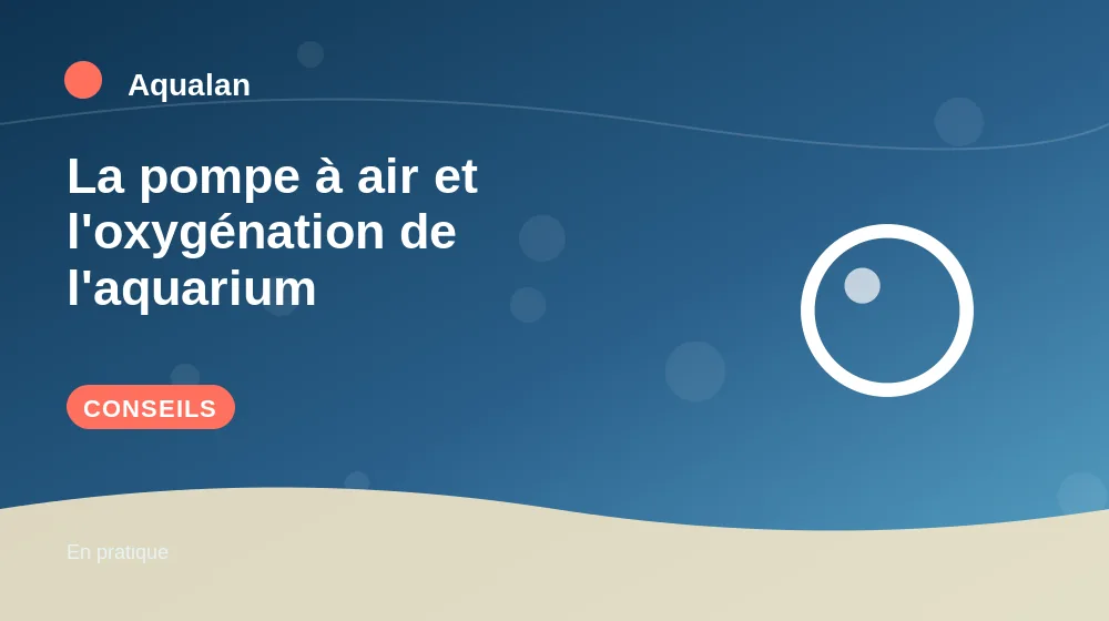 La pompe à air et l'oxygénation de l'aquarium : conseils pratiques en illustration