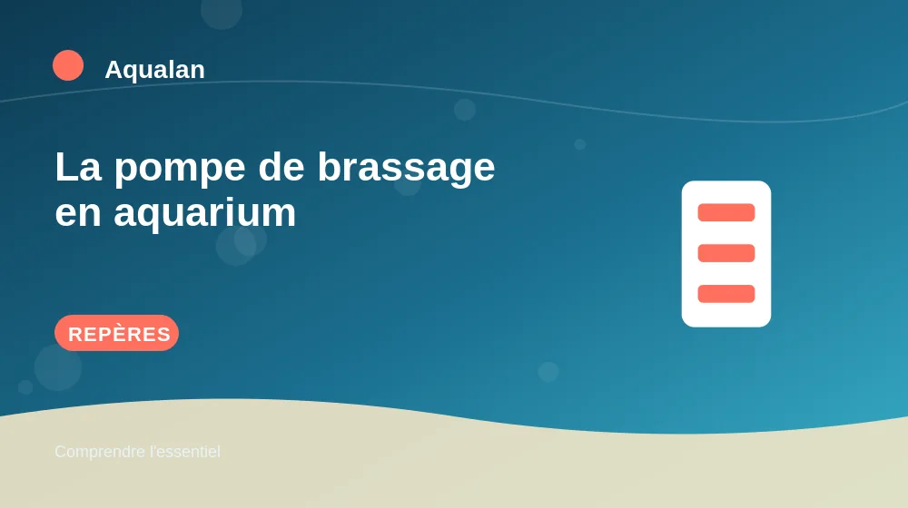 La pompe de brassage en aquarium : repères essentiels en illustration