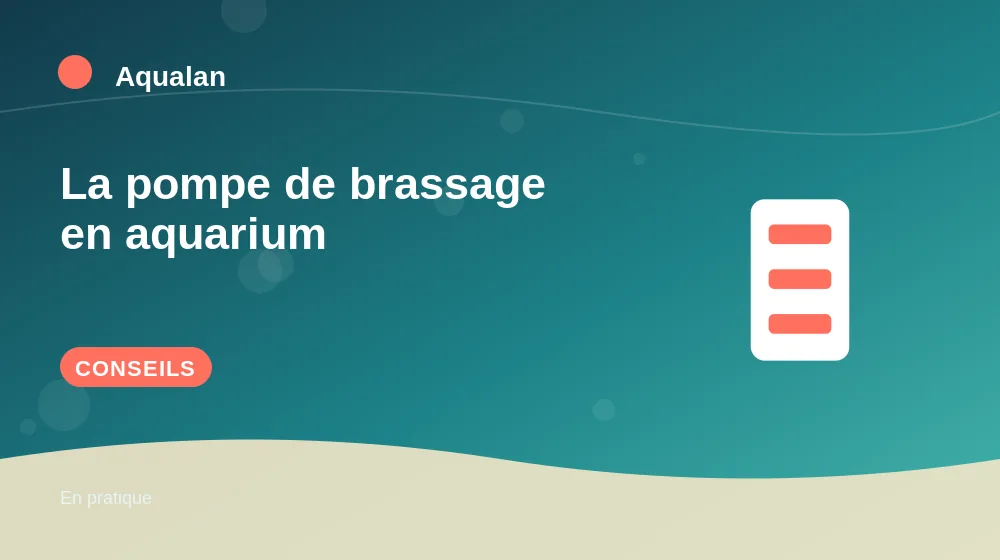 La pompe de brassage en aquarium : conseils pratiques en illustration