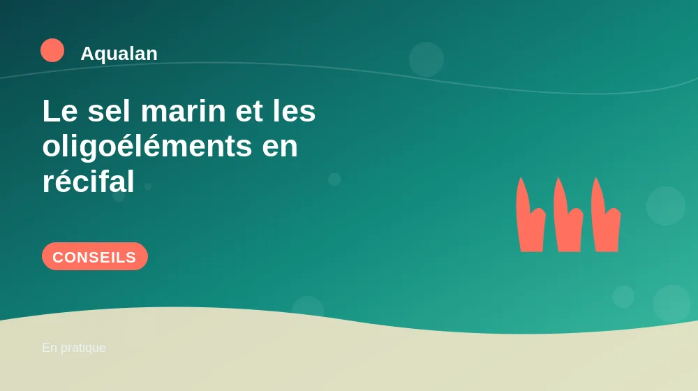 Le sel marin et les oligoéléments en récifal : conseils pratiques en illustration