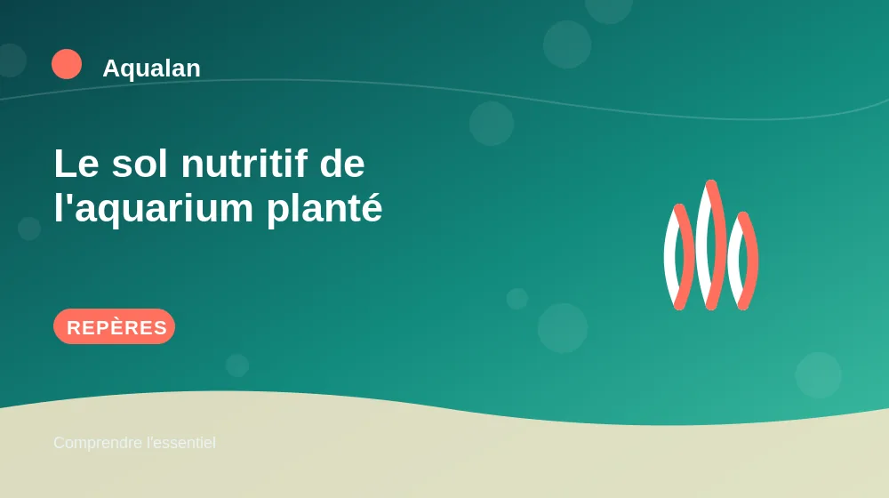 Le sol nutritif de l'aquarium planté : repères essentiels en illustration