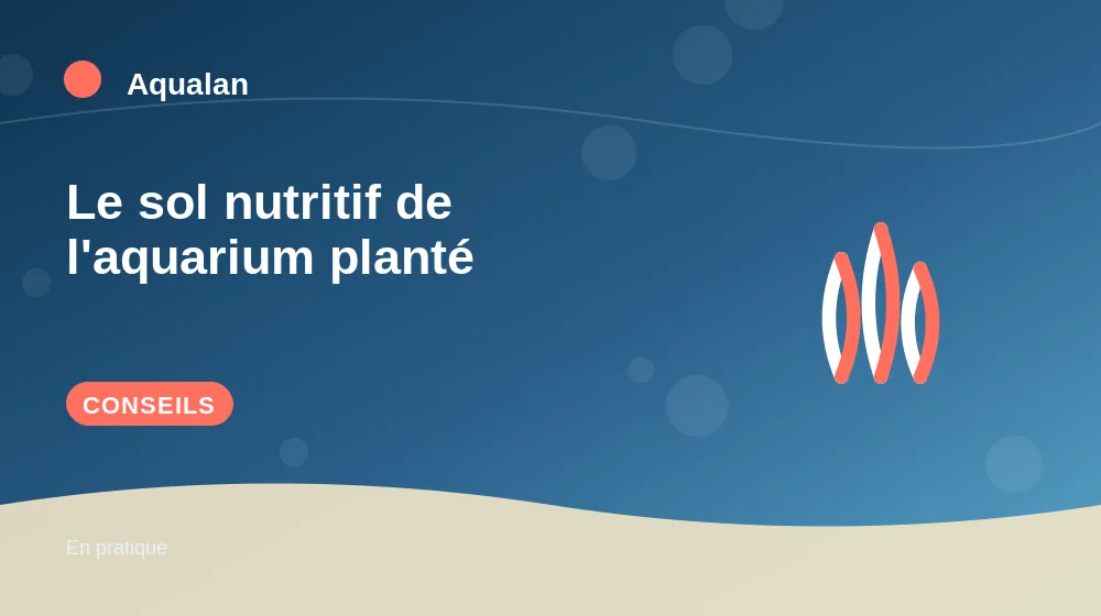 Le sol nutritif de l'aquarium planté : conseils pratiques en illustration
