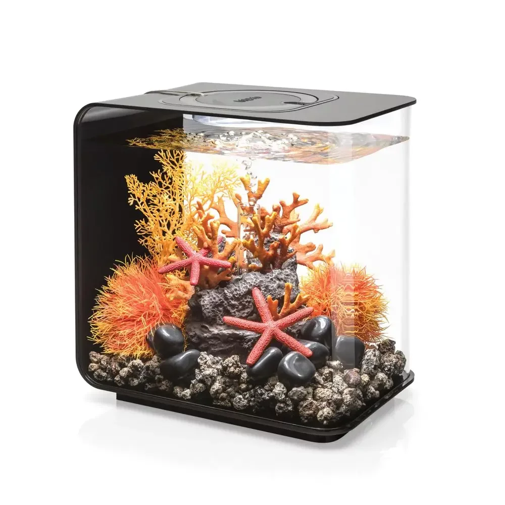 Aquarium FLOW 15 LED en noir, nano-aquarium design