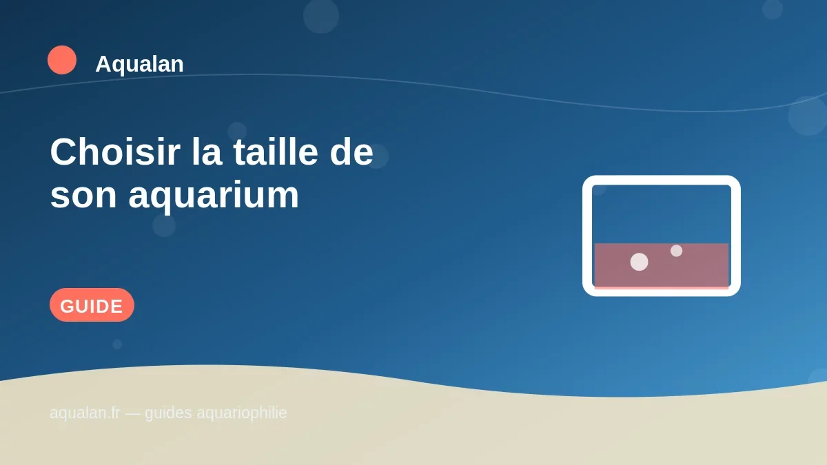Illustration Aqualan : choisir la taille de son aquarium
