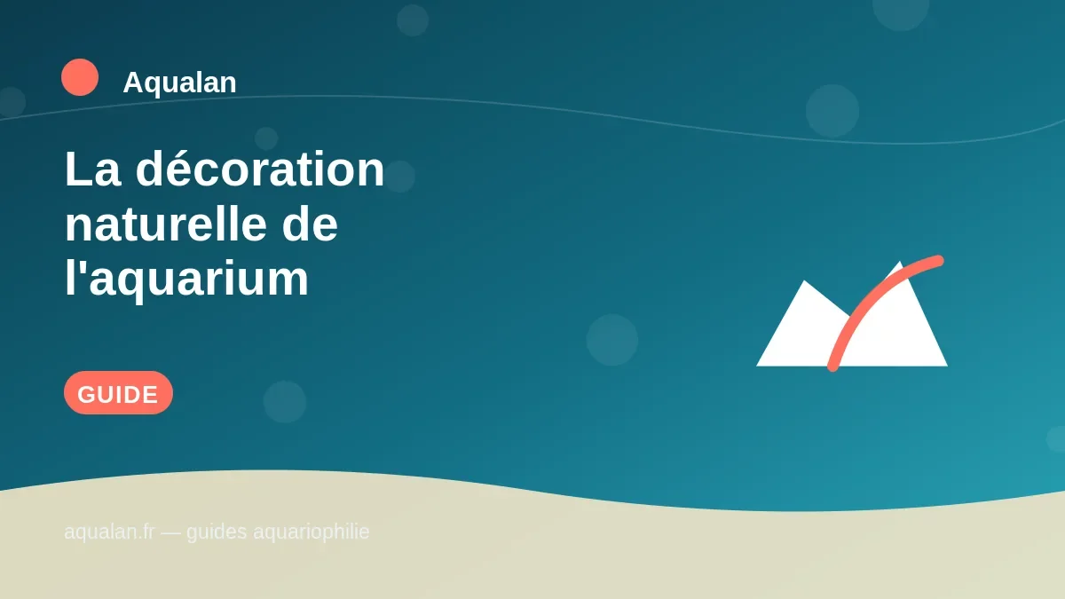 Illustration Aqualan : la décoration naturelle de l'aquarium