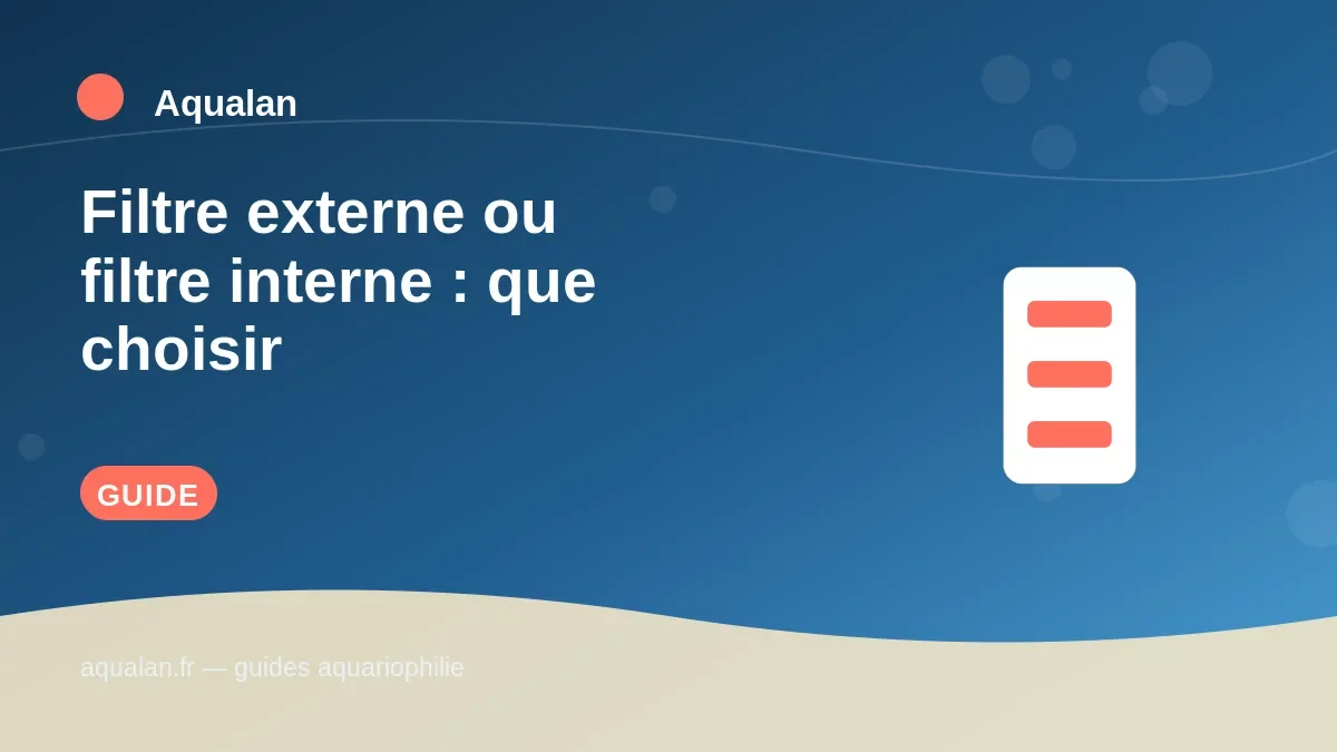 Illustration Aqualan : filtre externe ou filtre interne : que choisir