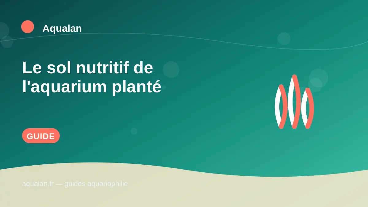 Illustration Aqualan : le sol nutritif de l'aquarium planté