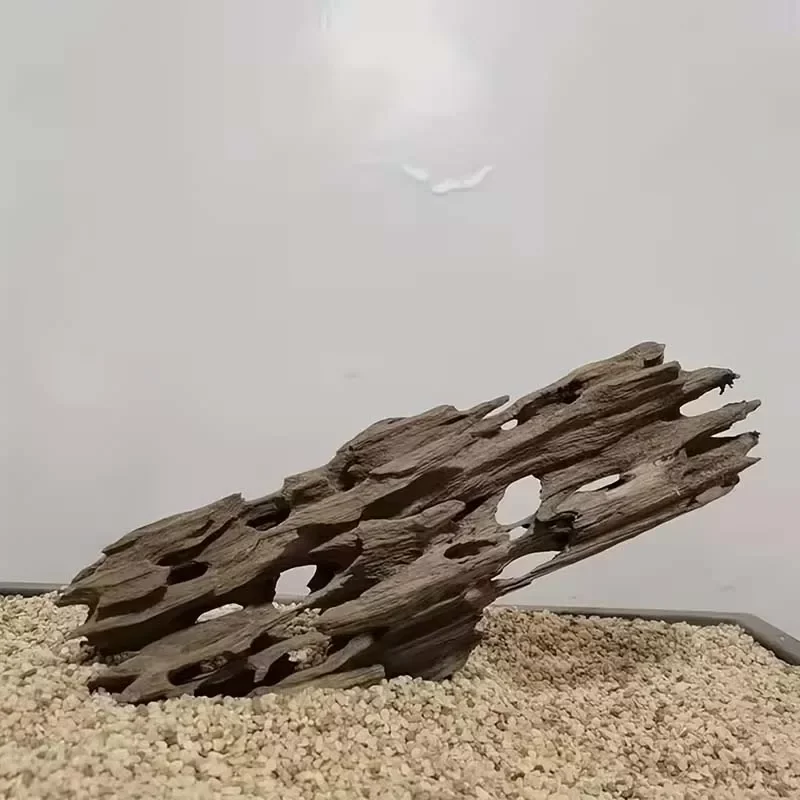 Bois flotté naturel pour aquarium, racine décorative d'aquascaping