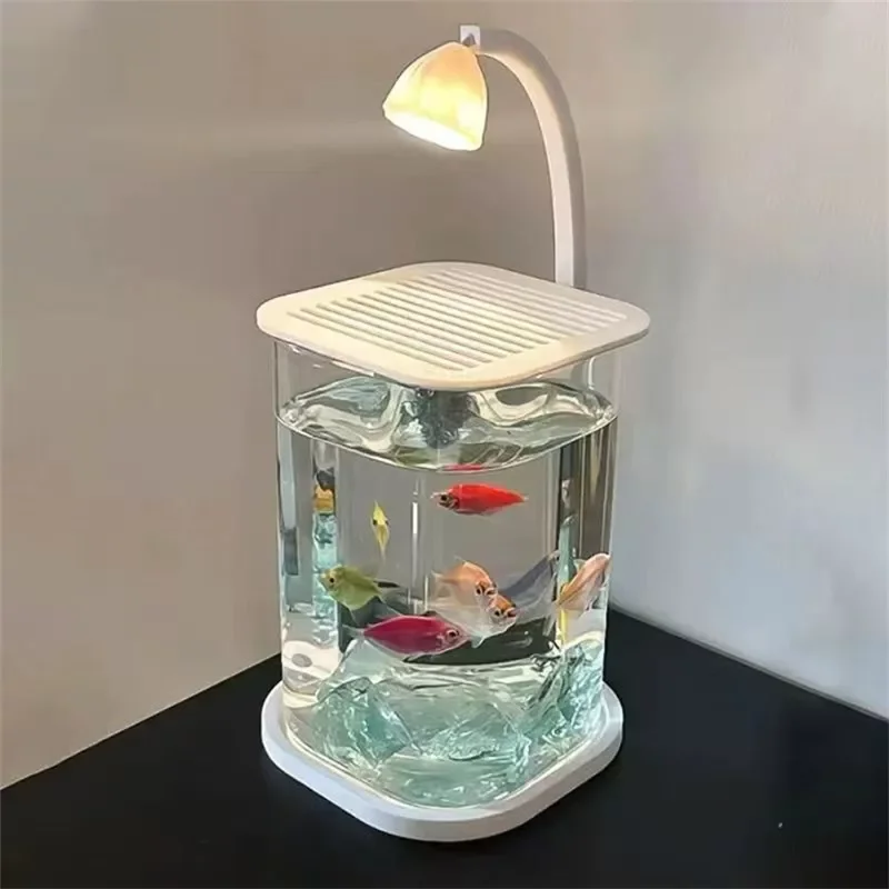 Mini aquarium en verre de bureau avec lumière LED, pour Betta