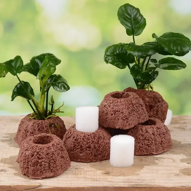Pots et anneaux en céramique pour aquarium, poterie de paysage pour plantes aquatiques