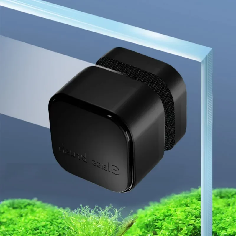 Aimant nettoyeur de vitres pour aquarium, grattoir à algues