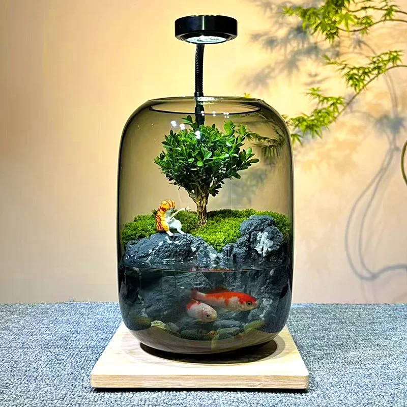 Aquarium en verre créatif de bureau avec lumière à minuterie