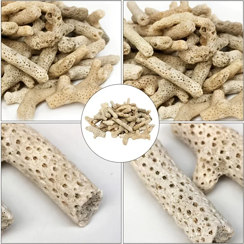 Sable de corail naturel pour aquarium, média filtrant et tampon de pH 300 g