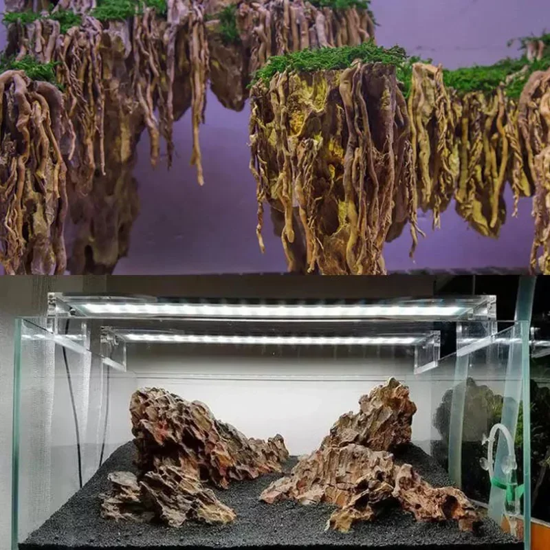 Pierre naturelle microporeuse pour aquascaping et décor d'aquarium