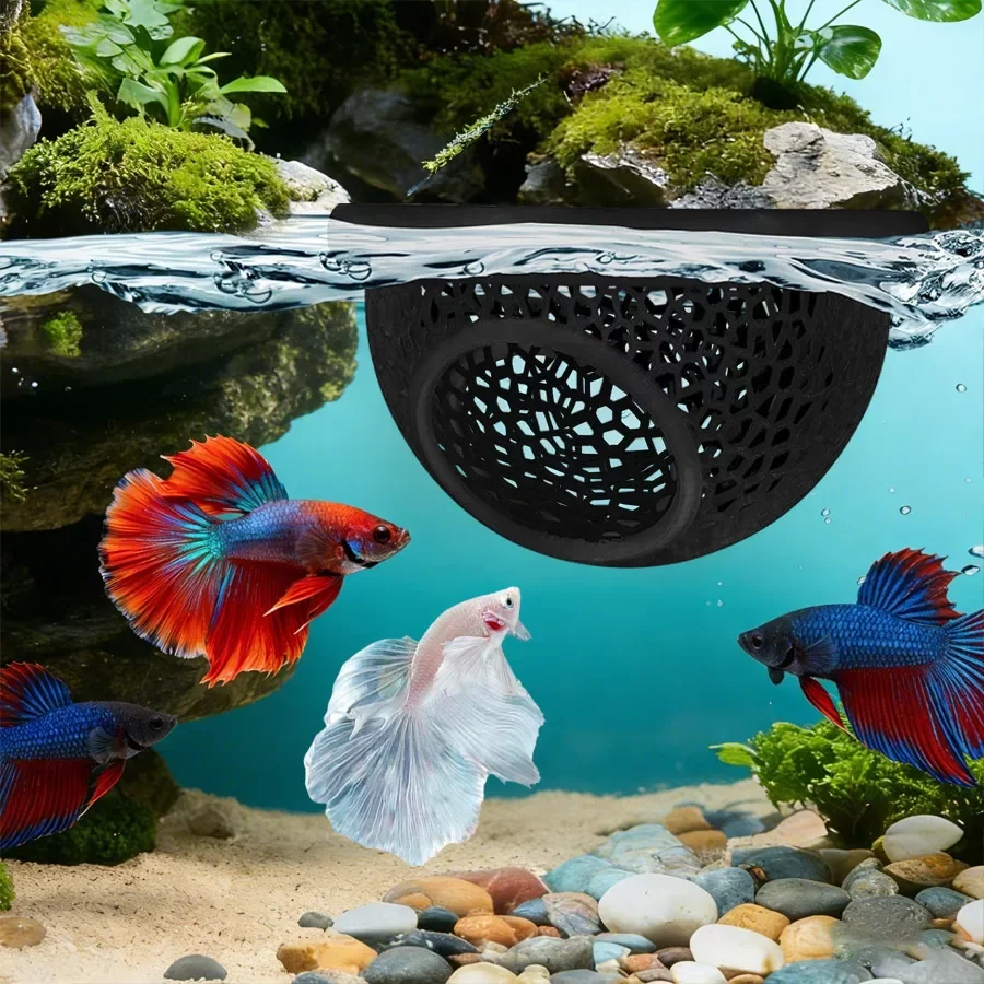 Niche flottante multifonction pour Betta et crevettes, hamac et anneau d'alimentation